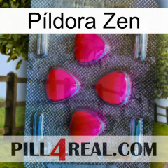 Píldora Zen 13